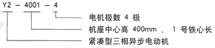 YR系列(H355-1000)高压YKK5002-12/250KW三相异步电机西安西玛电机型号说明